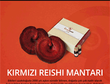 Tablet Screenshot of erkelkirmizireishi.com